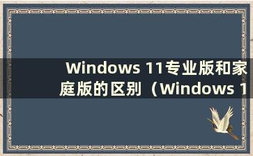 Windows 11专业版和家庭版的区别（Windows 1专业版和家庭版的区别）